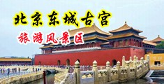 我想下载美女操逼视频中国北京-东城古宫旅游风景区